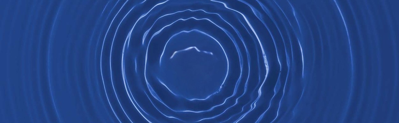 From Policy to Portfolio: How Tarrifs Take a Toll